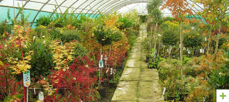 Désiles Jardin Rennes